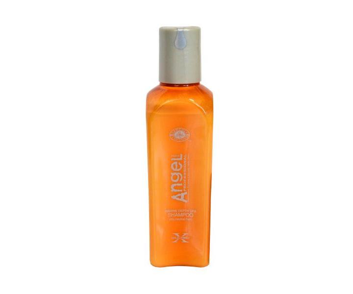 Angel ampn pro normln, such vlasy - 100 ml, expirace