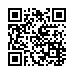 QR k�d Bambusov� h�eben Detail - Hair style Bamboo Comb - 17,3 x 3,1 cm