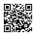 QR k�d Sada barevn�ch gumi�ek do vlas� Sibel Twisties - modr�/zelen�, 4 ks