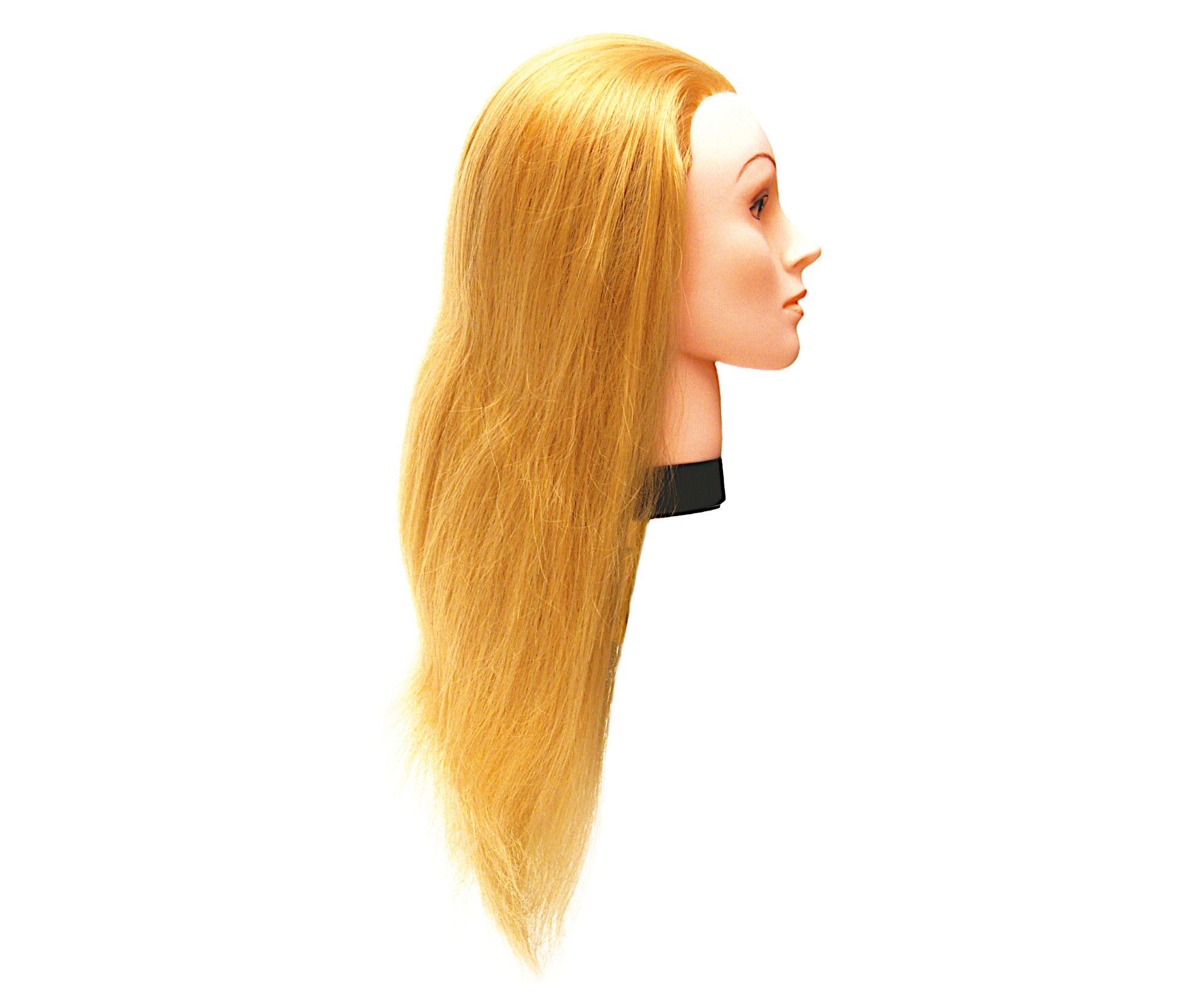 Cvičná hlava s umělými vlasy Eurostil Profesional - světlá blond, 45-50 cm (02544) + DÁREK ZDARMA
