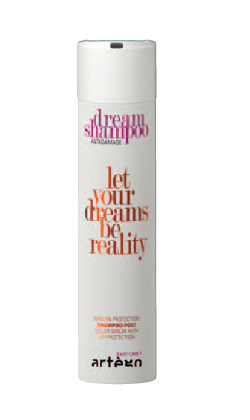 Šampon pro regeneraci barvených vlasů Artégo Dream Easy Care T - 250 ml (0165729) + dárek zdarma
