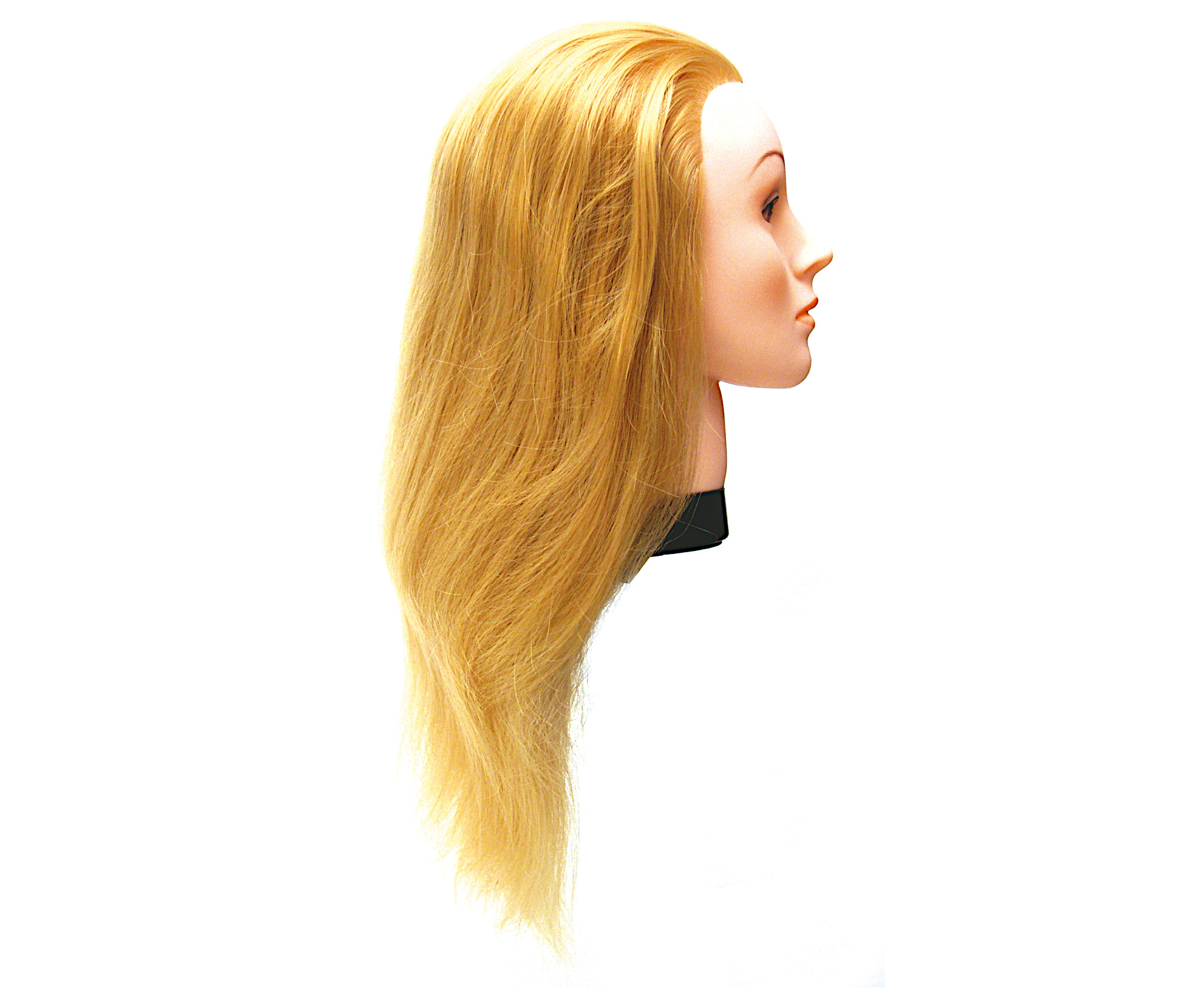 Cvičná hlava s umělými vlasy Eurostil Profesional - světlá blond, 35-40 cm (02543) + DÁREK ZDARMA