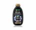 ada pro mastn konky a such dlky Garnier Therapy Botanic Magnetic Charcoal - ampon - 250 ml