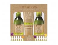 Dárková sada pro prevenci proti vším Little Green Lice Guard System