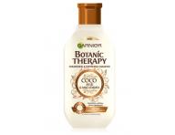 ada pro such a hrub vlasy Garnier Botanic Therapy Coco