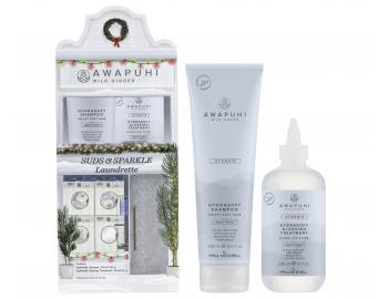 Dárková sada pro hydrataci a lesk vlasů Paul Mitchell Awapuhi Wild Ginger Hydrasoft Duo