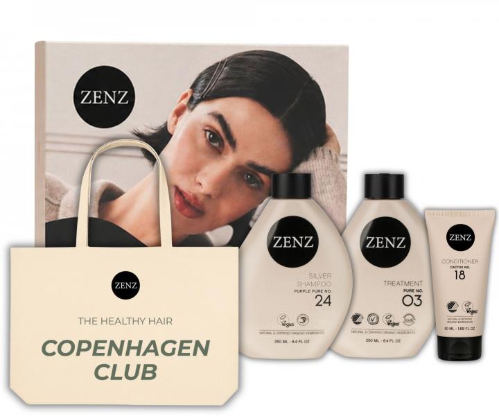 Sada pro neutralizaci �lut�ch t�n� blond a mel�rovan�ch vlas� Zenz Silver
