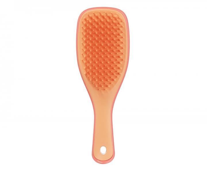 Cestovní kartáč Tangle Teezer Ultimate Detangler Mini