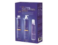 Sada pro odbarvené a melírované vlasy Inebrya Age Therapy Pro-Blonde Kit