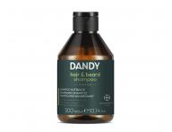 Řada pánské kosmetiky pro péči a styling vlasů a vousů Dandy Beard & Hair For Men