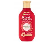 ampon pro barven vlasy Garnier Botanic Therapy Cranberry - 250 ml