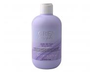 Šampon pro přírodní šedé vlasy Inebrya Grey By Day Shampoo