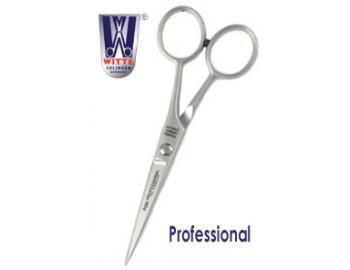 Professional P450