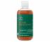 Řada pro barvené vlasy Paul Mitchell Tea Tree Special Color - šampon - 300 ml