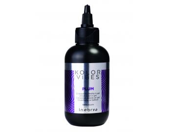 Semi-permanentní barva na vlasy Inebrya Kolor Vibes 150 ml - Plum