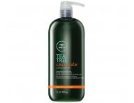 Kondicionér pro barvené vlasy Paul Mitchell Tea Tree Special Color Conditioner - 1000 ml