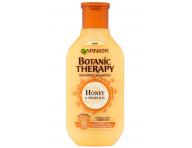 Řada pro poškozené vlasy Garnier Botanic Therapy Honey