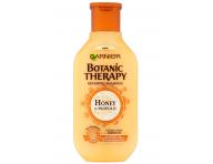 ada pro pokozen vlasy Garnier Botanic Therapy Honey