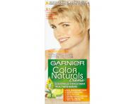 Permanentní barva Garnier Color Naturals 9.1 velmi světlá blond popelavá