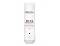 ampon pro zvraznn barvy Goldwell DS Color - 250 ml