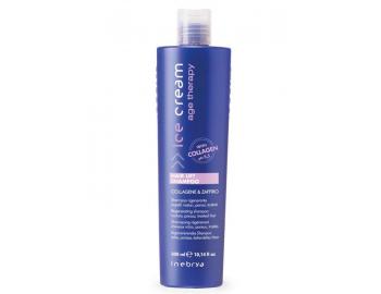 Šampon pro chemicky ošetřené vlasy Inebrya Hair Lift - 300 ml