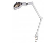 Zvětšovací lupa s LED lampou SilverFox 1006 - 5 dioptrií