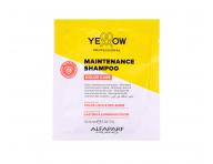 �ampon pro zachov�n� barvy barven�ch vlas� Yellow Professional Color Care Maintenance Shampoo - 10 ml (bonus)