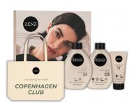 Sada pro neutralizaci �lut�ch t�n� blond a mel�rovan�ch vlas� Zenz Silver