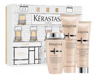 ada pro vlnit a kudrnat vlasy Krastase Curl Manifesto