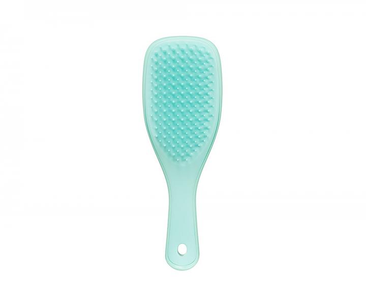 Cestovní kartáč na rozčesávání vlasů Tangle Teezer The Wet Detangler Mini Sea Green - tyrkysový