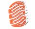 Kart�� na vlasy Sister Young Mila Pocket Hair Brush - oran�ov�