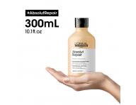 Sada pro pokozen vlasy Loral Professionnel Serie Expert Absolut Repair + kosmetick taka zdarma