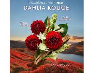 Dárková sada pro péči o tělo Moroccanoil Dahlia Rouge Body Care Set