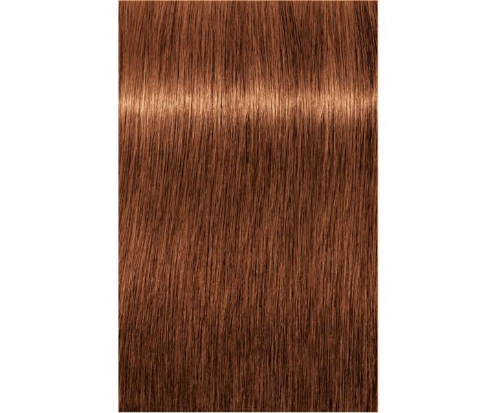 Barva na vlasy Schwarzkopf Professional Igora Royal 60 ml - 7-76 střední blond měděná čokoládová