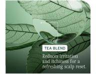 P��pravn� �istic� p��e pro v�echny typy vlasov� poko�ky Biolage Scalp Sync Purifying Scalp Concentrate - 200 ml