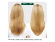 Šampon pro poškozené vlasy Biolage Strength Recovery Shampoo