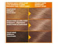 Permanentn barva Garnier Color Naturals 7.00 blond