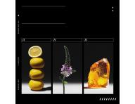 Sprej pro objem vlas� od ko��nk� Redken Acidic Grow Full System Instant Densifying Spray - 190 ml