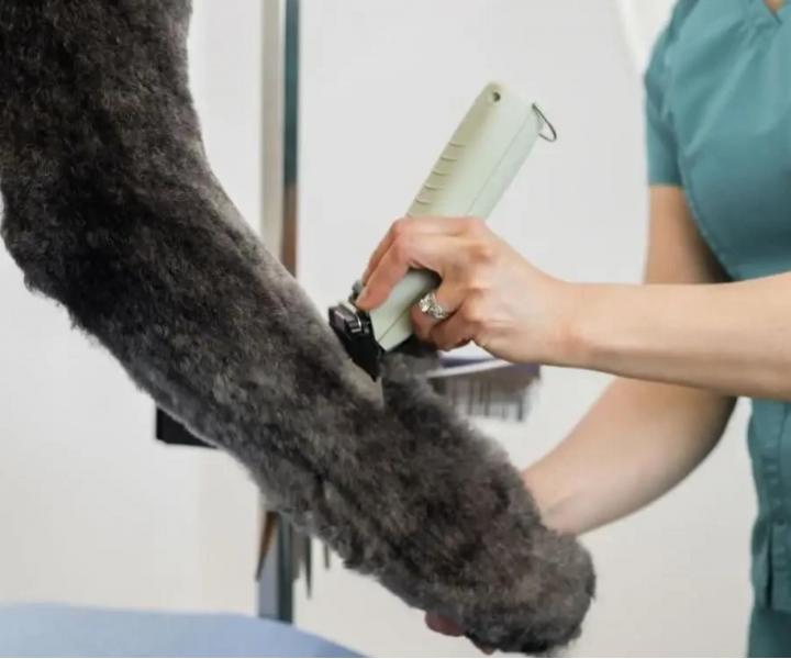 Profesion�ln� strojek na zv��ec� srst Wahl Professional KMC+ Cord/Cordless Clipper - mintov� zelen�