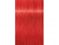 Barva na vlasy Schwarzkopf Professional Igora Royal 60 ml - 0-88 Booster červený