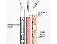 Sada pro vlasy se sklonem ke krepatn Krastase Gloss Absolu + tatika zdarma