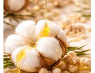 Revitaliza�n� bezoplachov� kr�m pro such� a po�kozen� vlasy Kl�ral System Retinoil Revitalising Absolute Fluid - 100 ml