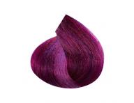 Barva na vlasy Inebrya Color 100 ml – 5/62 světlá kaštanová červenofialová