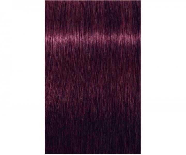 Barva na vlasy Schwarzkopf Professional Igora Royal 60 ml - 6-99 tmavá blond fialová extra