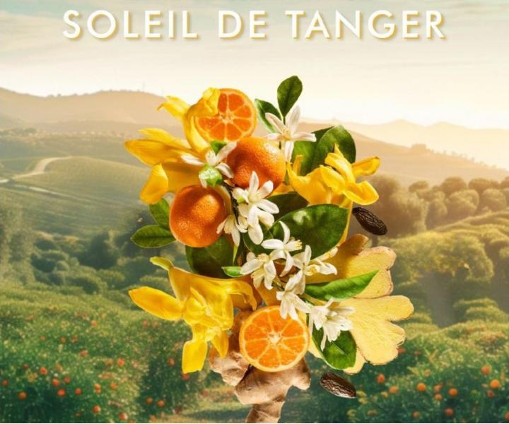 Dárková sada pro péči o tělo Moroccanoil Soleil De Tanger Body Care Set