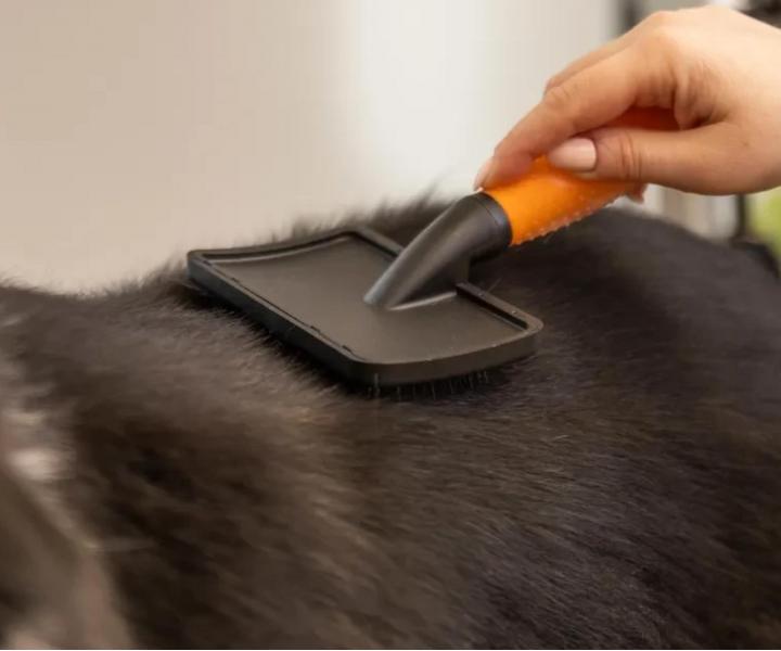 Roz�es�vac� ploch� kart�� na zv��ec� srst Wahl Slicker Brush Large 58424 - oran�ov�