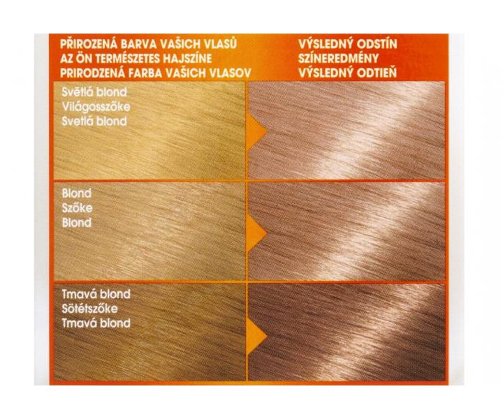 Permanentní barva Garnier Color Naturals 9N světlá blond