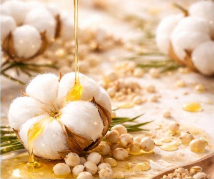 Regenera�n� �ada pro such� a po�kozen� vlasy Kl�ral System Retinoil