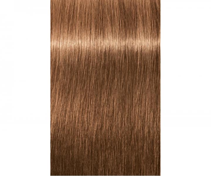 Barva na vlasy Schwarzkopf Professional Igora Royal 60 ml - 7-65 střední blond čokoládová zlatá