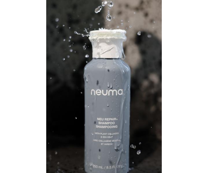 Regenerační šampon pro poškozené a křehké vlasy Neuma Neu Repair Shampoo - 250 ml